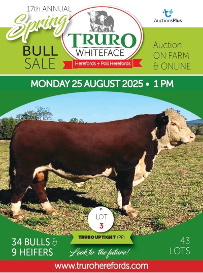 Truro Whiteface SPRING SALE 2025 Front Cover page 0001 1