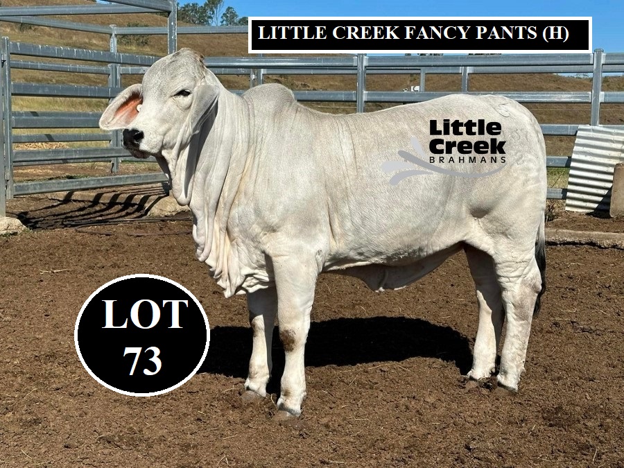 LOT 73 3