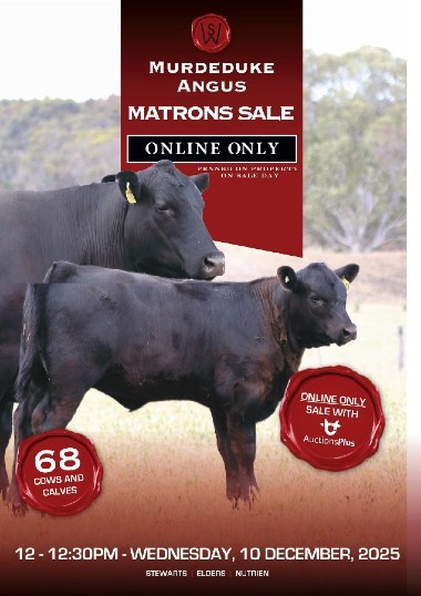 2025 Matronscatalogue