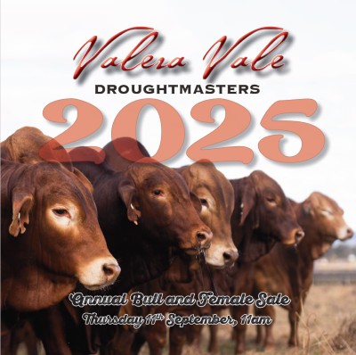 CAT 2025