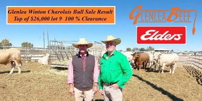 sale 1 400