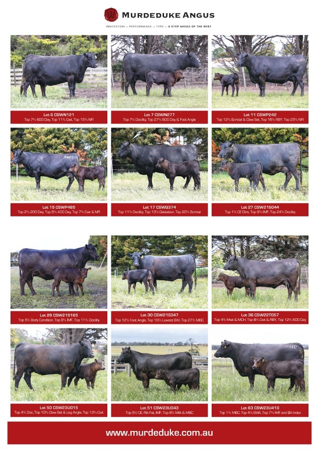 2025 Matrons Sale Flyer images 1