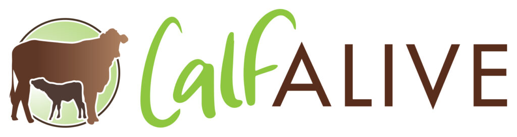 Calf Alive landscape banner 1024x273