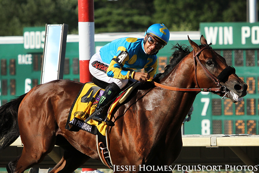 15 0802 AmericanPharoah jh 2302wm