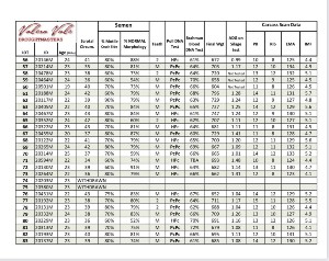 supp sheets 