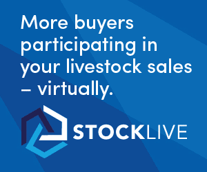 Stocklive libby (3) ALC