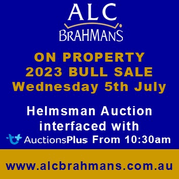 ALC SALE SPON (23)