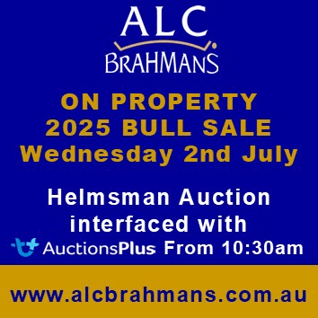 ALC SALE