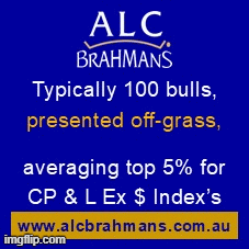 ALC SALE