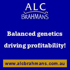 ALC SALE