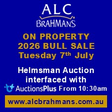 ALC SALE