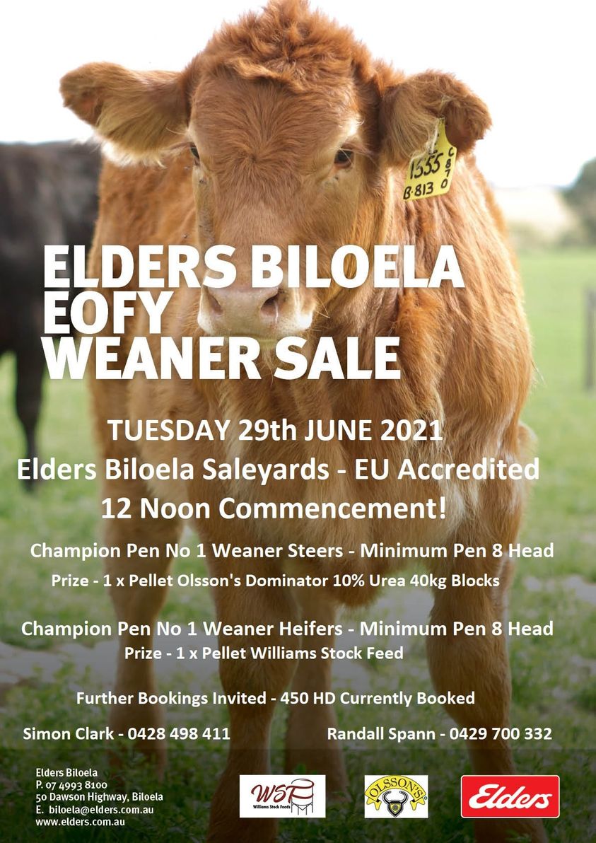 Elders Biloela Jim Pola Digital Marketing