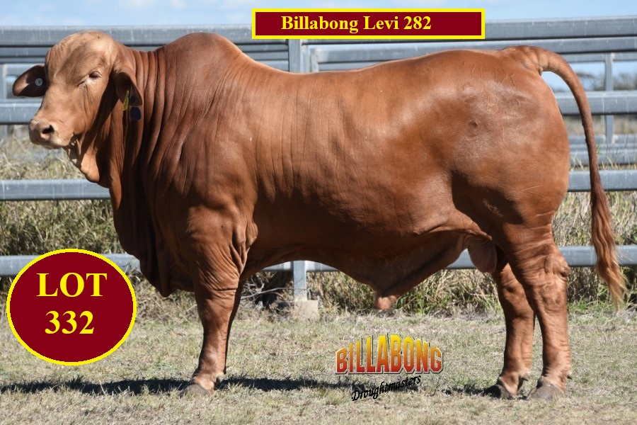 LOT 332 1