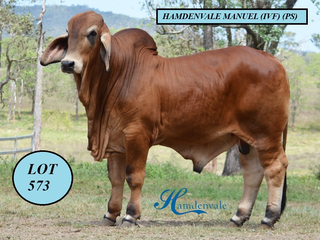 LOT 573