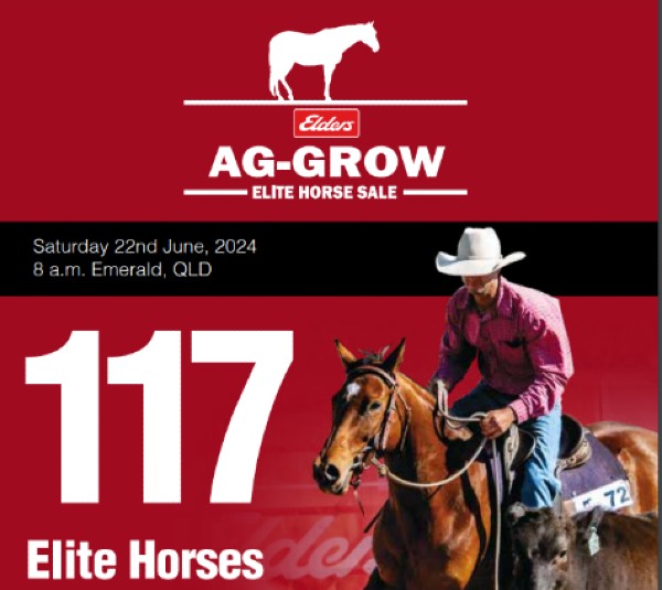 Elders AgGrow Elite Horse Sale 2024 Jim Pola Digital Marketing