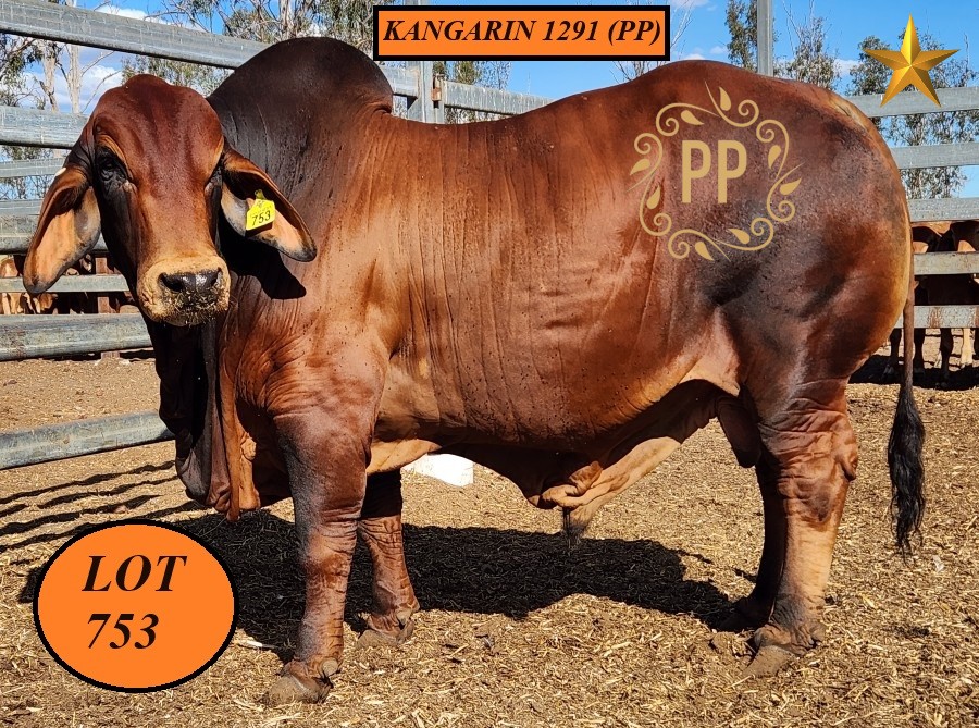 LOT 753 1