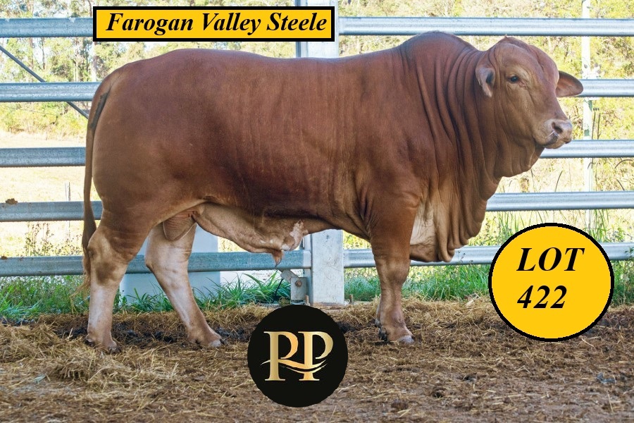 Lot 422 9