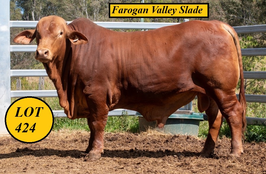 Lot 424