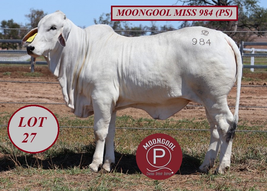 lot 27 IMG 2809