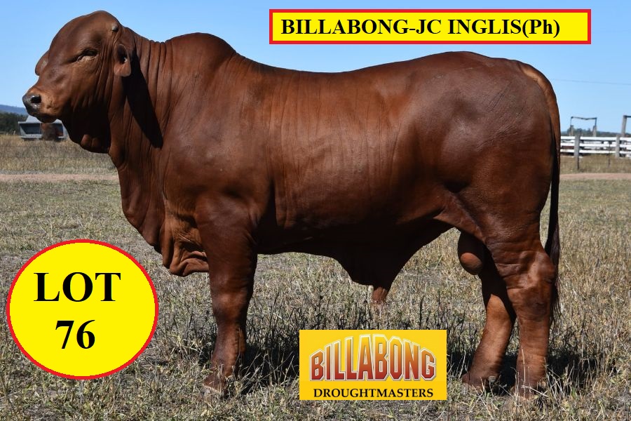 LOT 76