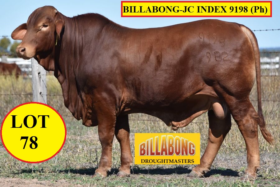 LOT 78