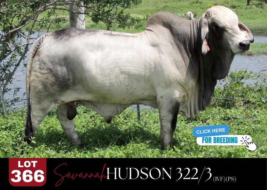lot 366fgrv