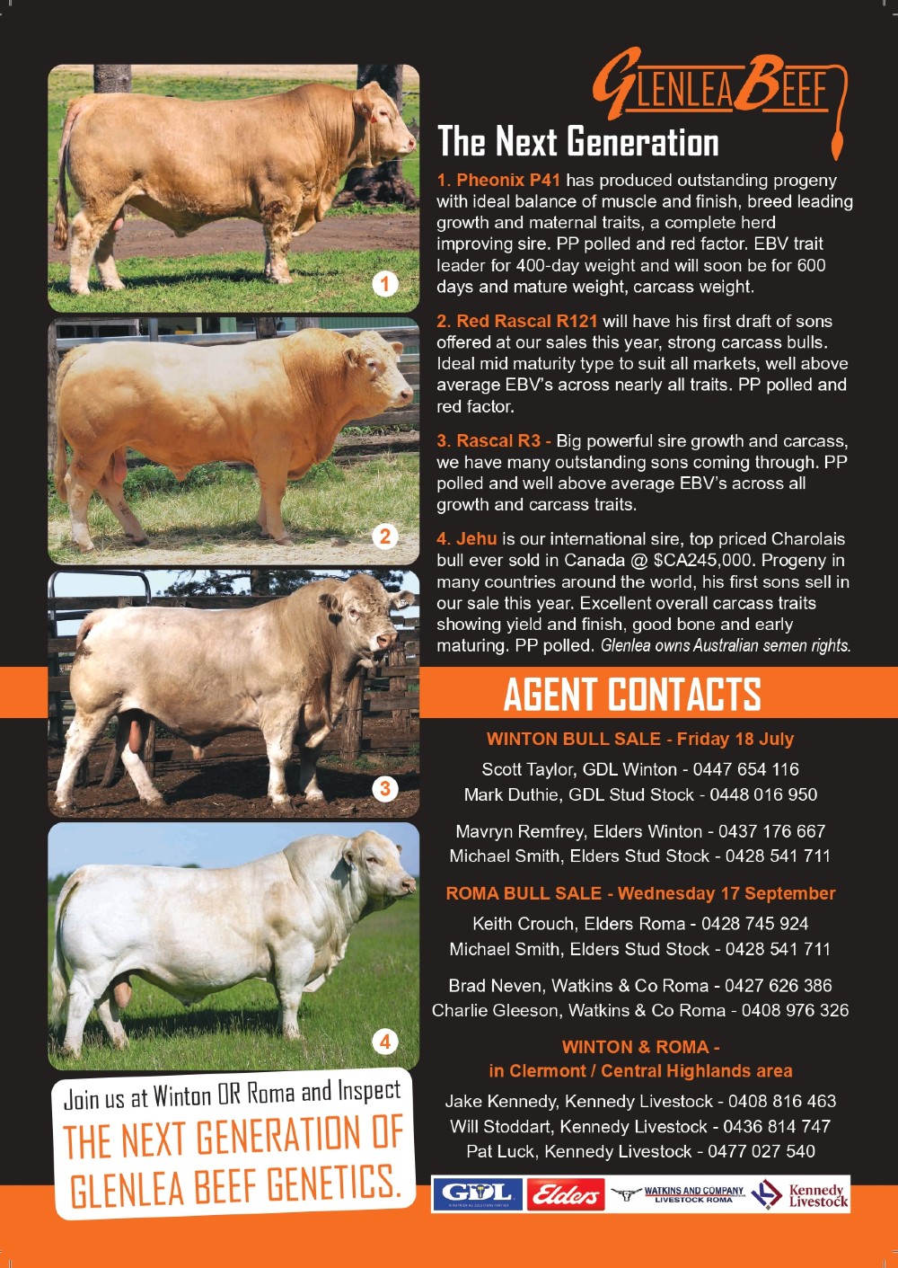 GLE Bull Sale Brochure ROMA