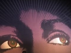 IMG 5003