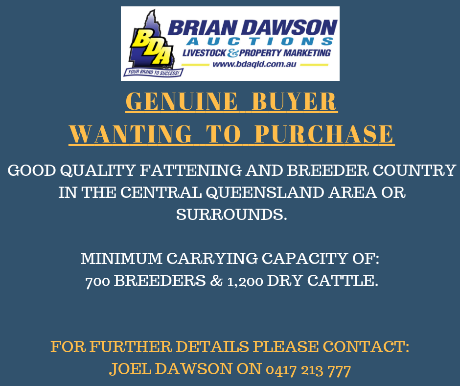 GENUINE BUYER