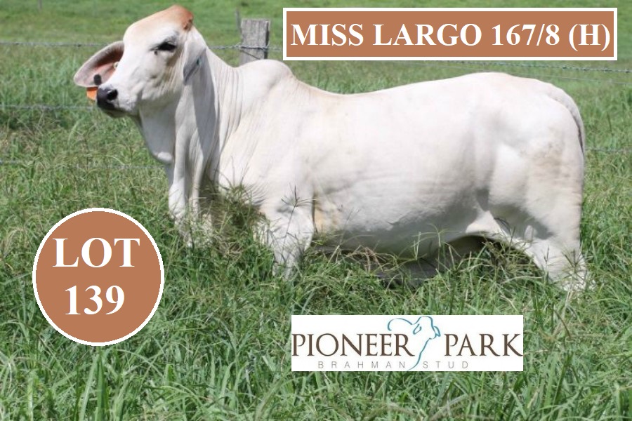 lot 139