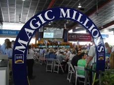 magic millions