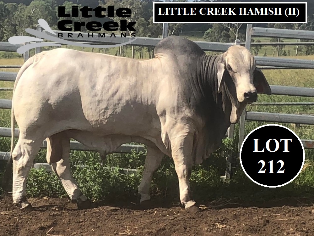 Lot 212 25 mths 1