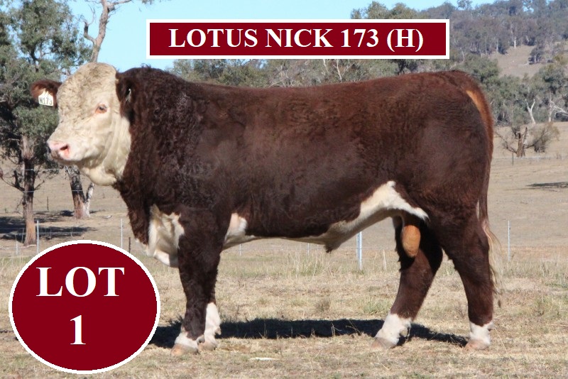 lot 1