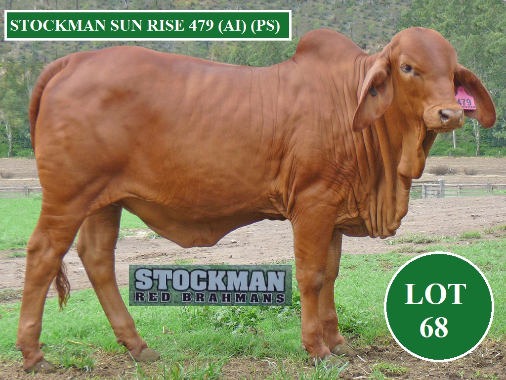 LOT 68