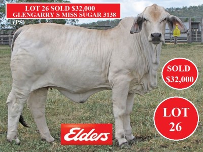 lot 26 400