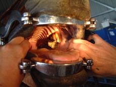 Equine Dentist Mallocclusion 1