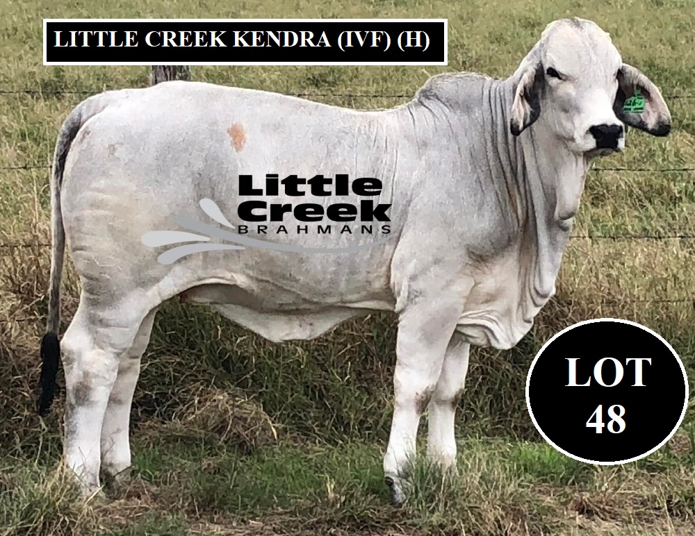 LOT 48 LITTLE CREEK 