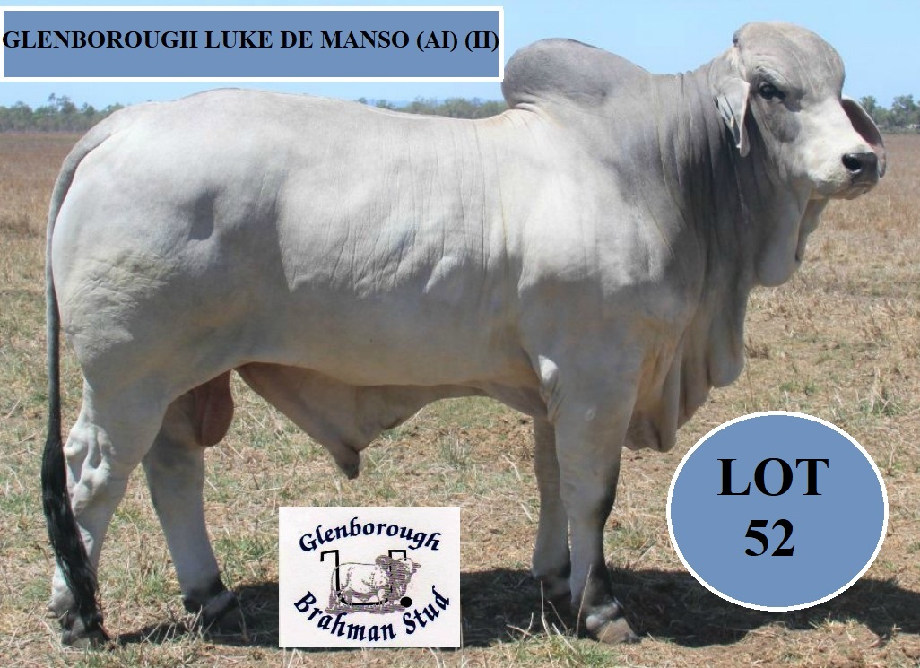 Lot 52