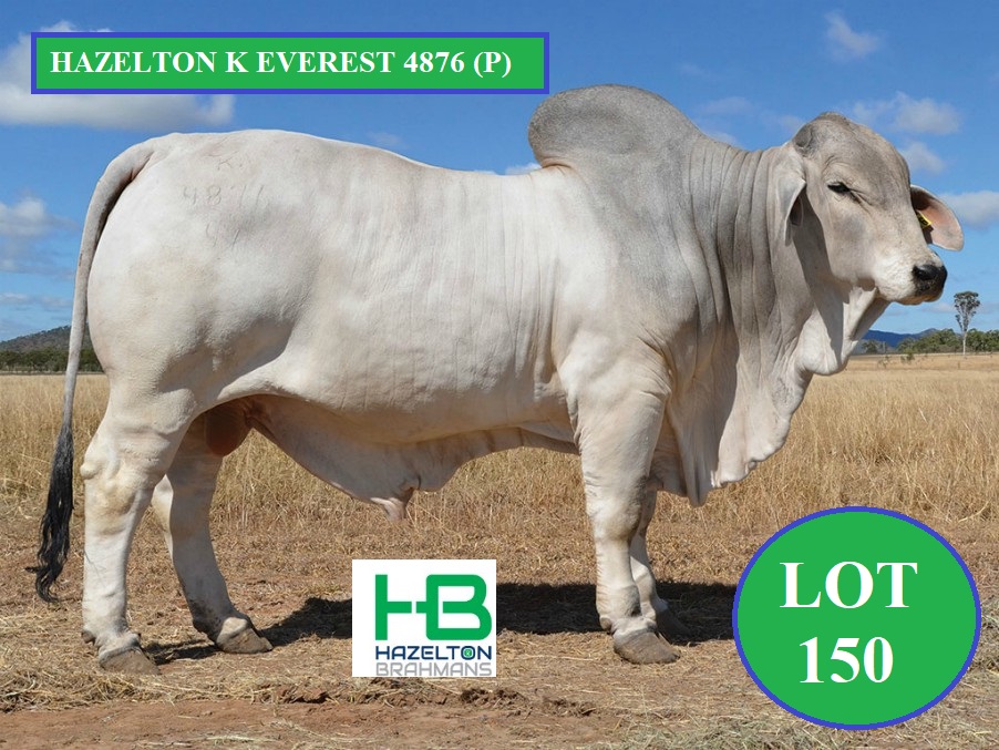 LOT 150