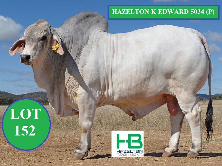 LOT 152