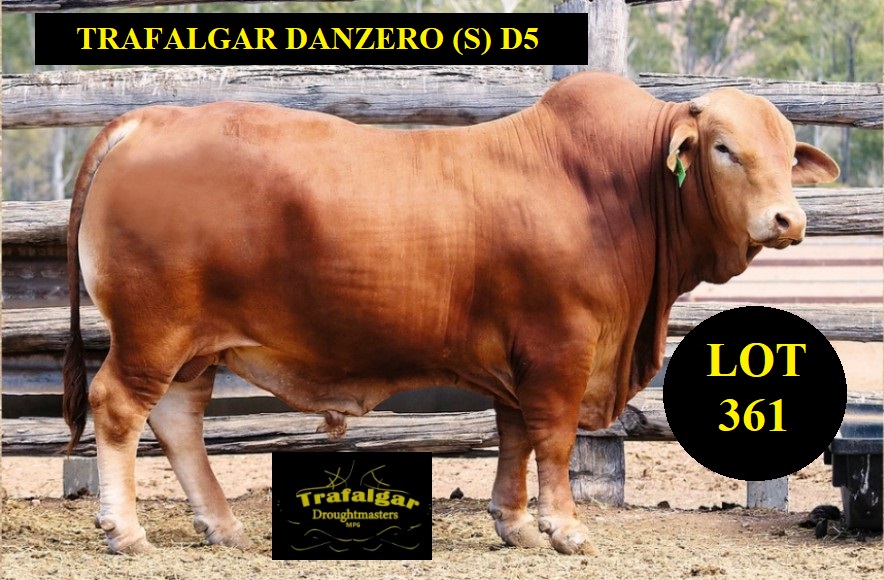 lot 361