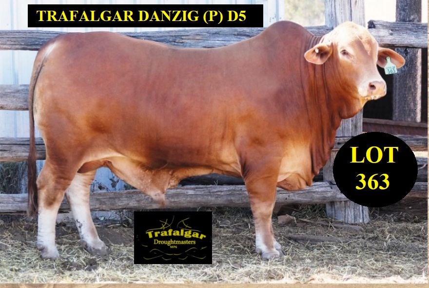 lot 363