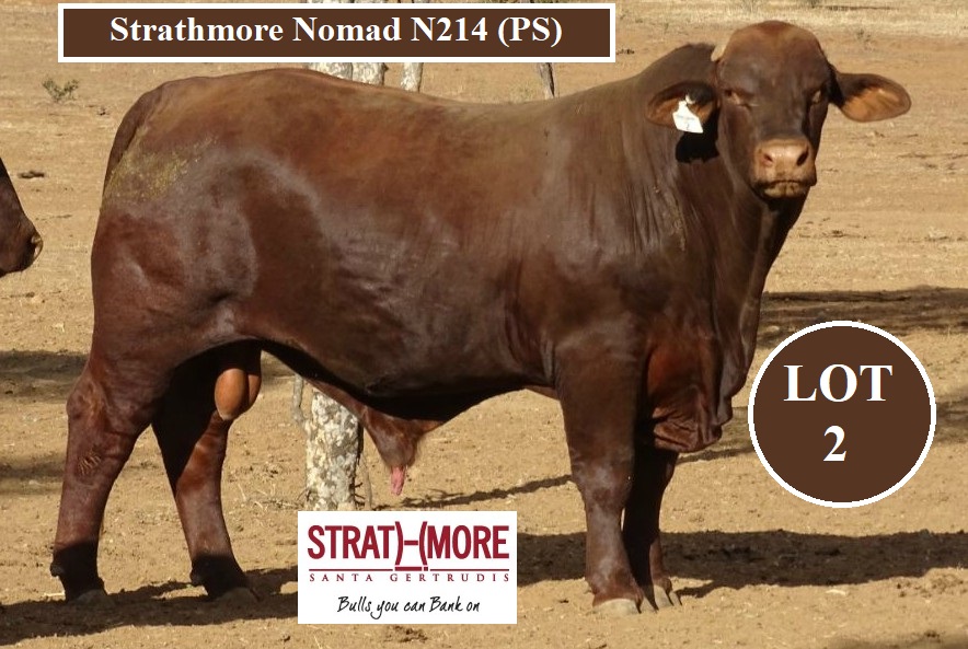 LOT 2 STRATHMORE NOMAD N214 PS