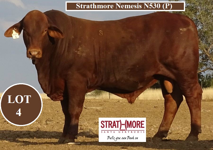 LOT 4 STRATHMORE NEMESIS N530 P
