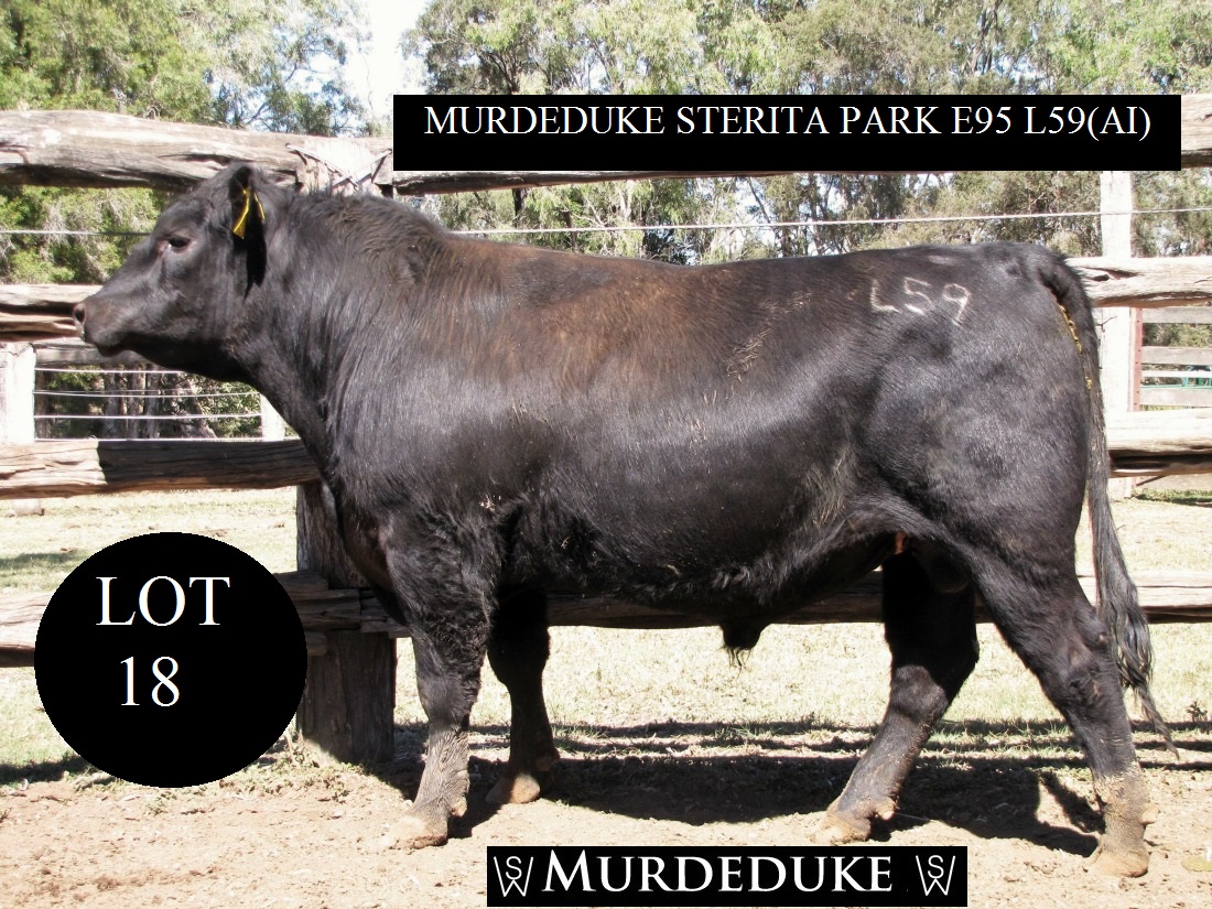 Lot 18 CSWL59