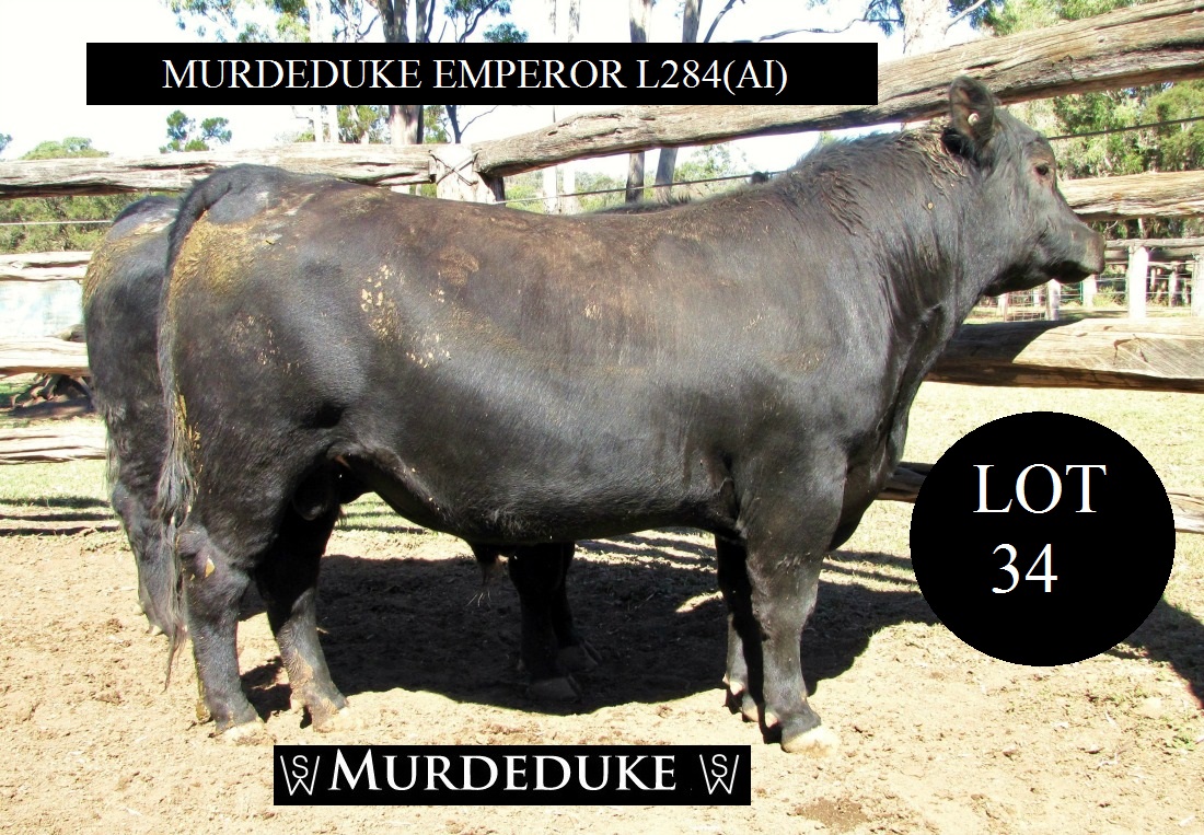 Lot 34 CSWL284