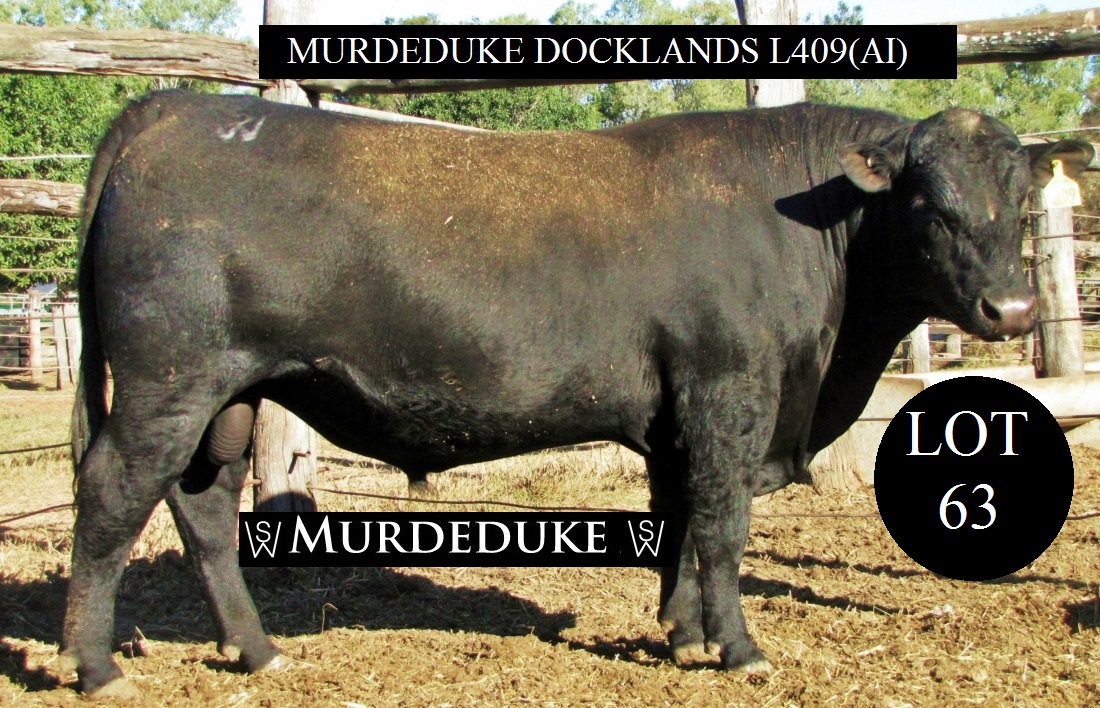 Lot 63 CSWL409