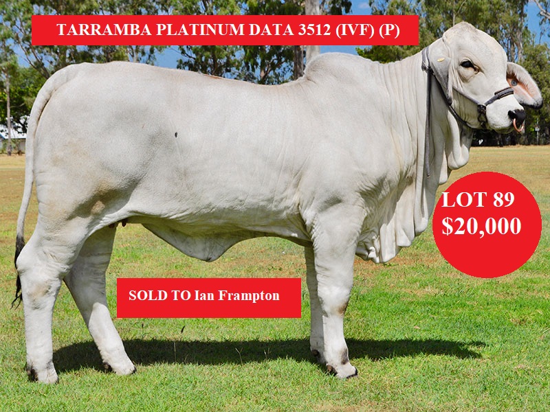 LOT 89 TARRAMBA PLATINUM DATA 3512 IVF P