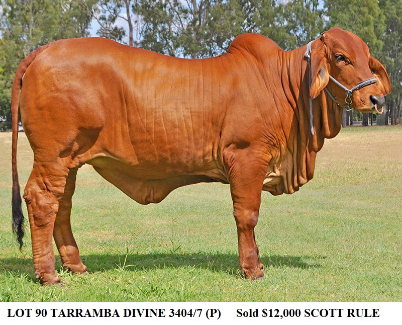LOT 90