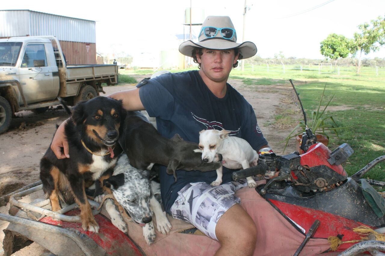 DamontheDogs